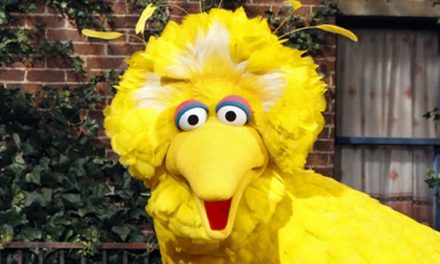 Why Obama’s Big Bird Ad Doesn’t Fly With Me