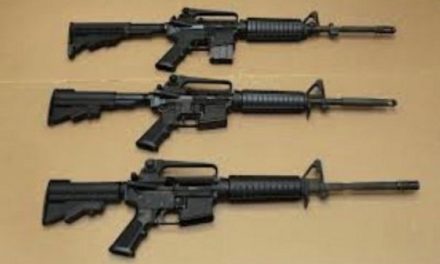 DOA: Assault Weapons Ban